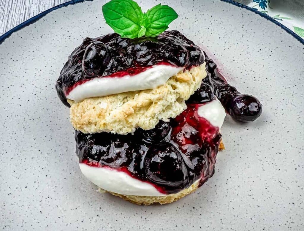 Blueberry Cheesecake on a plate.