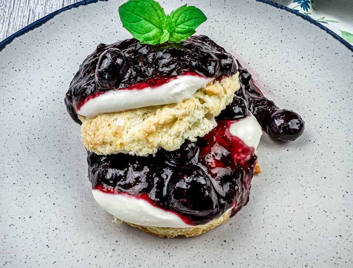 Blueberry Cheesecake on a plate.